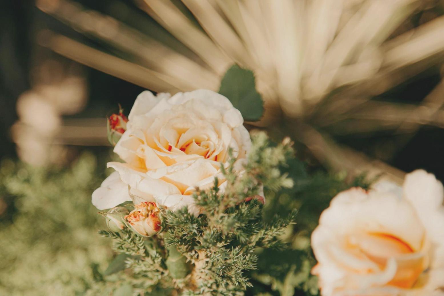 Corporate flower arrangement consultation